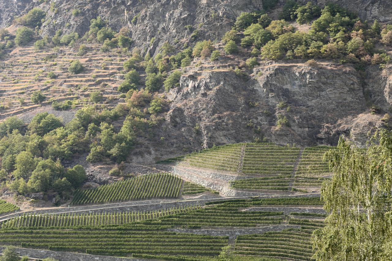 View Of The Vineyards Arvier Exterior photo
